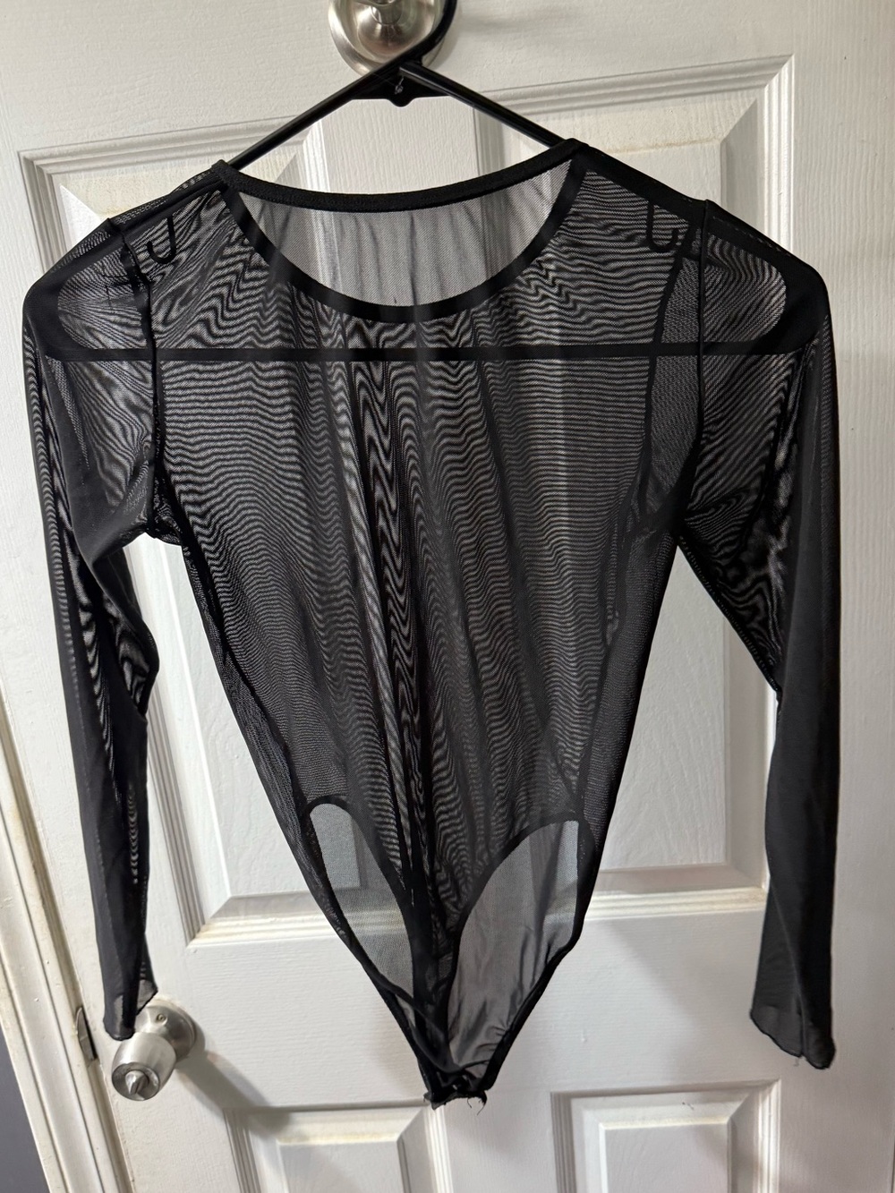 Fully Sheer Long Sleeve Bodysuit 🩱